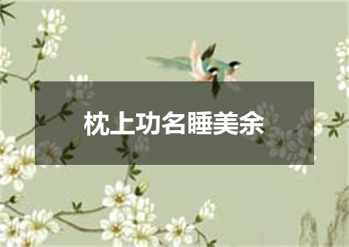枕上功名睡美余