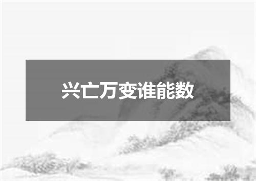 兴亡万变谁能数
