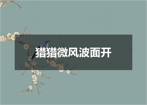 猎猎微风波面开