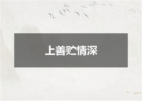 上善贮情深