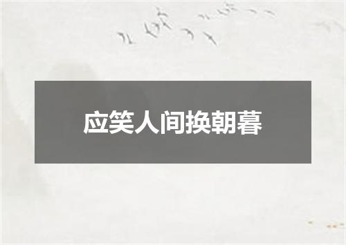 应笑人间换朝暮