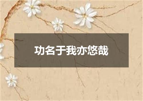 功名于我亦悠哉