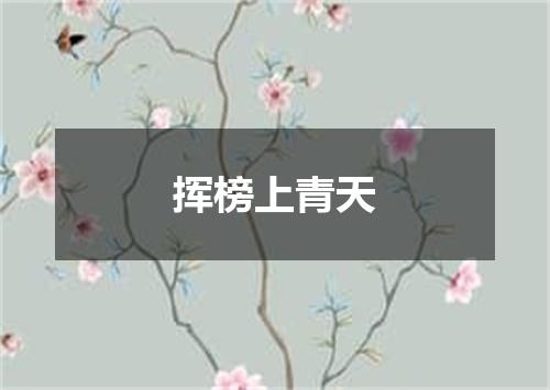 挥榜上青天