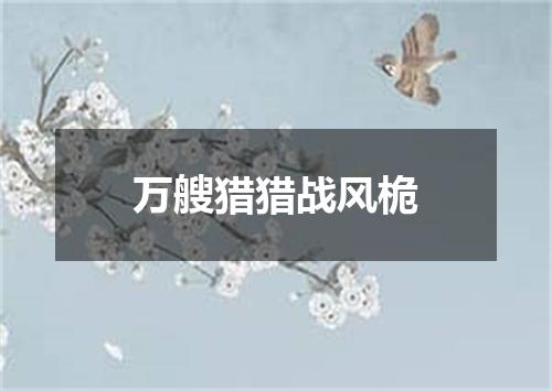 万艘猎猎战风桅