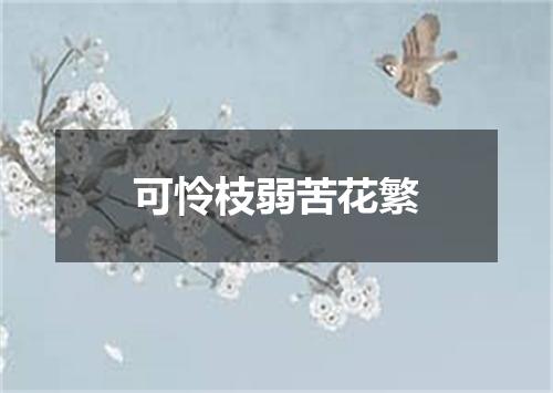 可怜枝弱苦花繁