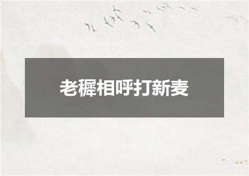 老穉相呼打新麦