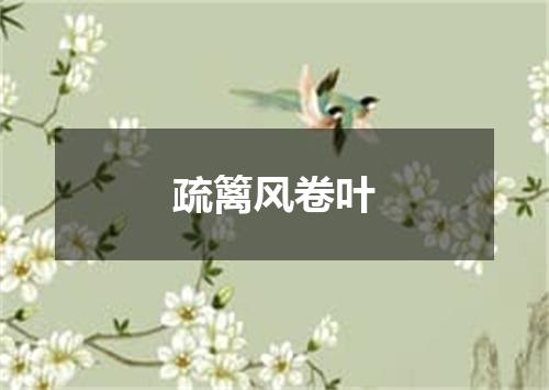 疏篱风卷叶