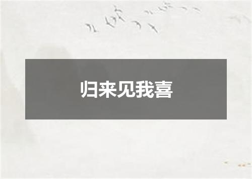 归来见我喜