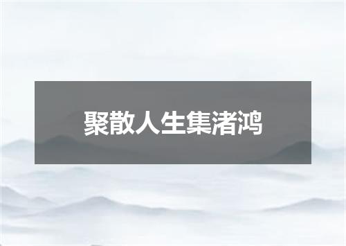 聚散人生集渚鸿
