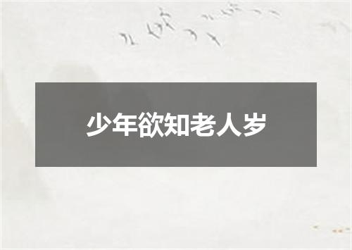 少年欲知老人岁