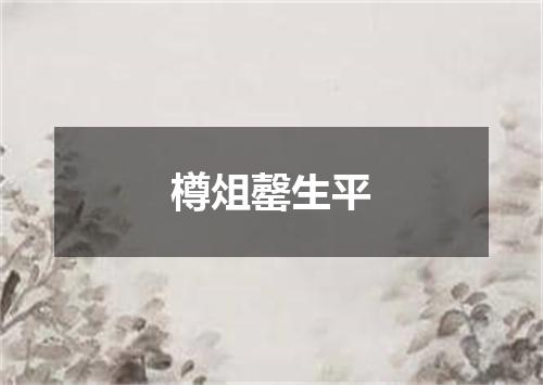 樽俎罄生平