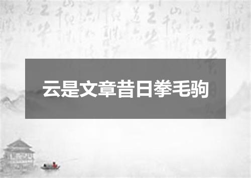 云是文章昔日拳毛驹