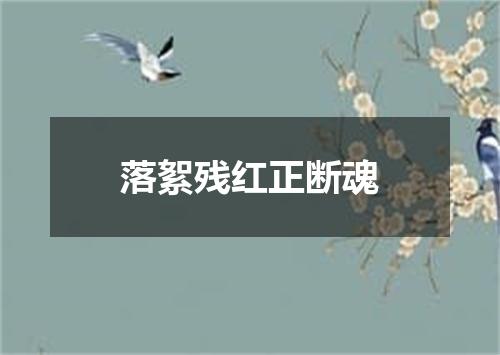 落絮残红正断魂