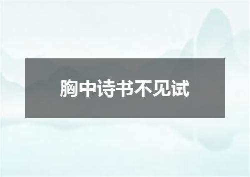 胸中诗书不见试