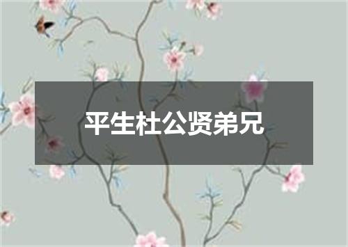 平生杜公贤弟兄
