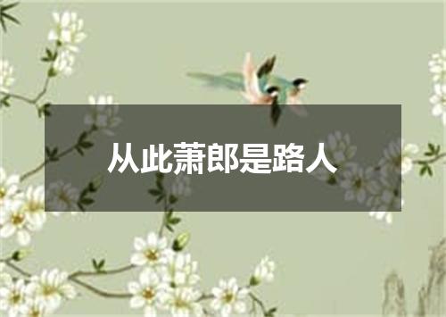 从此萧郎是路人