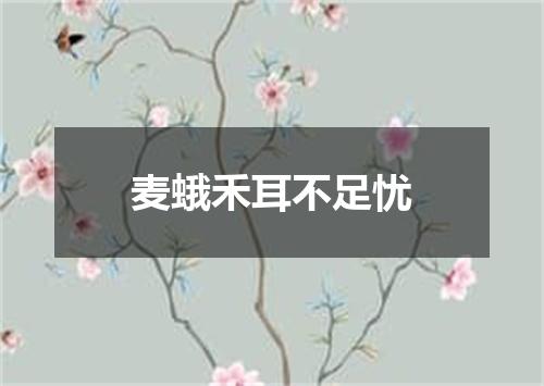 麦蛾禾耳不足忧