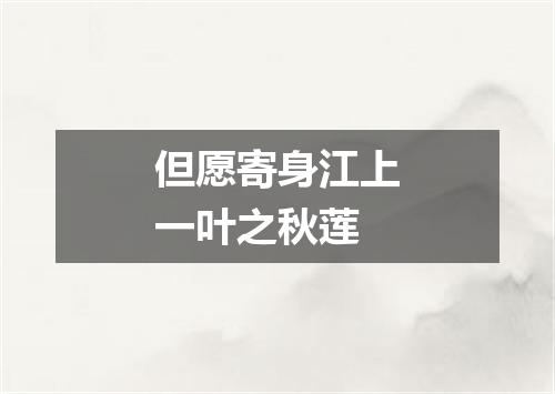 但愿寄身江上一叶之秋莲