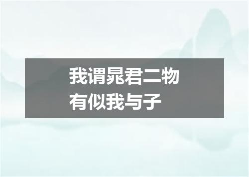 我谓晁君二物有似我与子