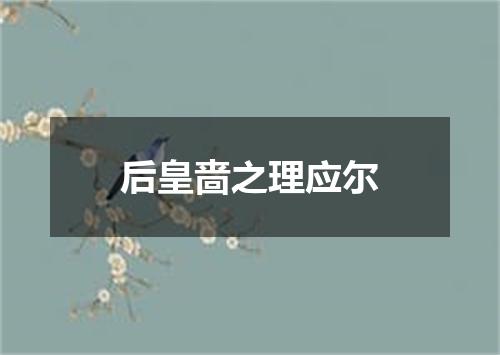 后皇啬之理应尔
