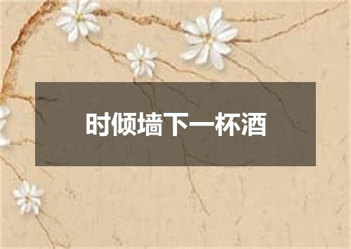 时倾墙下一杯酒