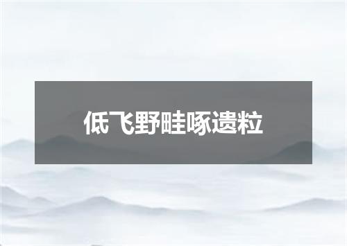 低飞野畦啄遗粒