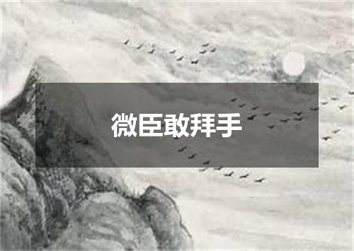 微臣敢拜手