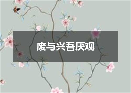 废与兴吾厌观