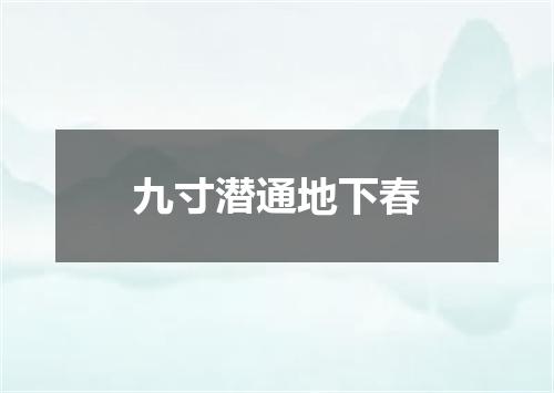 九寸潜通地下春