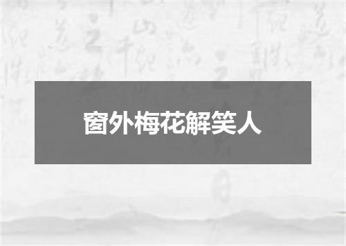 窗外梅花解笑人
