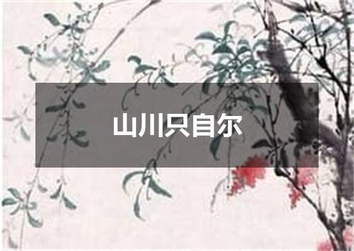 山川只自尔