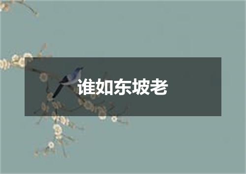 谁如东坡老