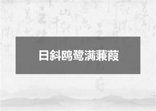 日斜鸥鹭满蒹葭