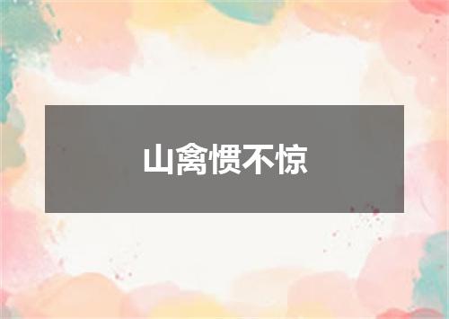 山禽惯不惊