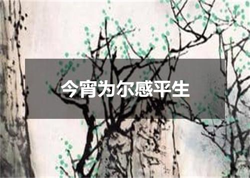 今宵为尔感平生