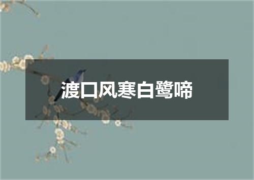 渡口风寒白鹭啼