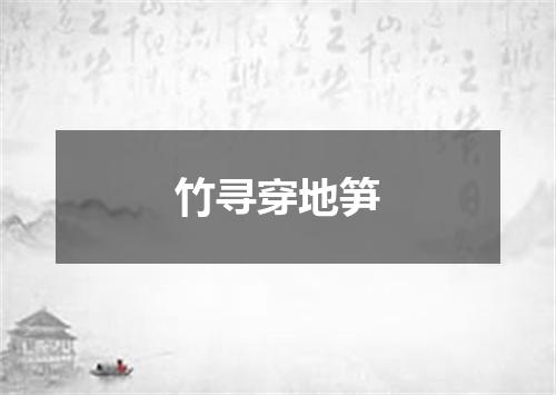 竹寻穿地笋