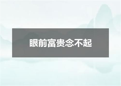眼前富贵念不起