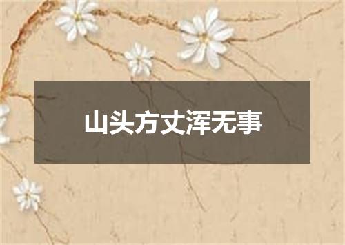 山头方丈浑无事