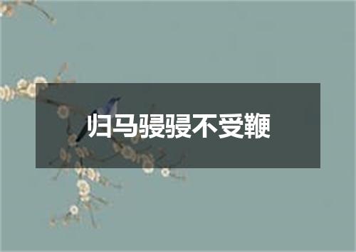 归马骎骎不受鞭