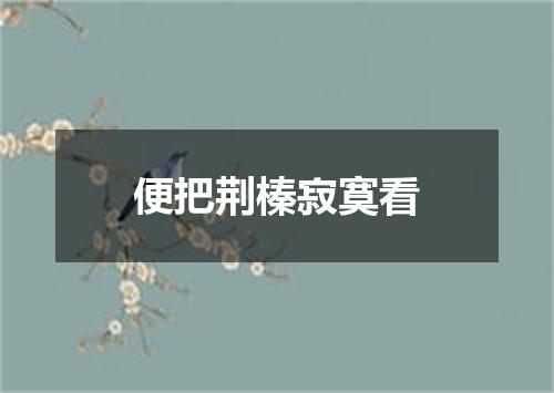 便把荆榛寂寞看