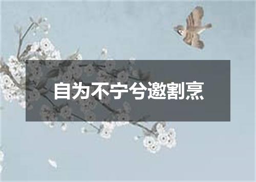 自为不宁兮邀割烹