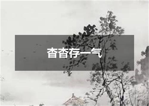 杳杳存一气
