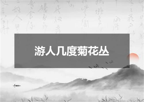 游人几度菊花丛