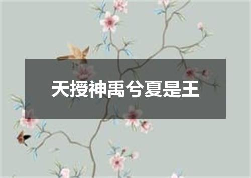 天授神禹兮夏是王