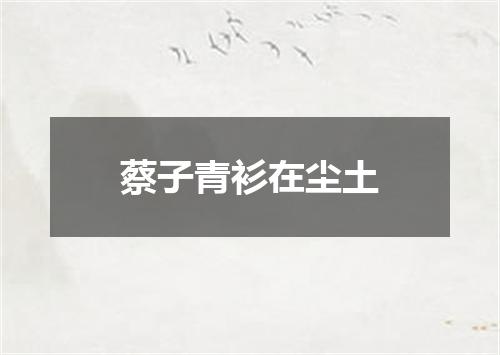 蔡子青衫在尘土