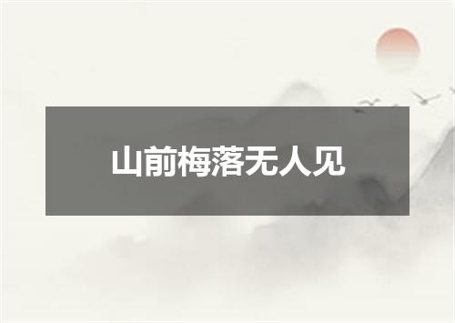 山前梅落无人见