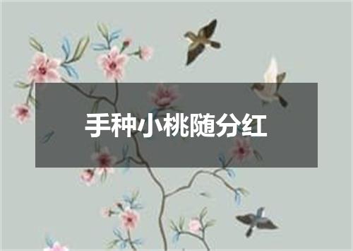 手种小桃随分红