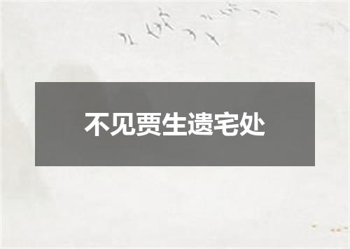 不见贾生遗宅处
