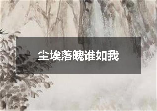 尘埃落魄谁如我